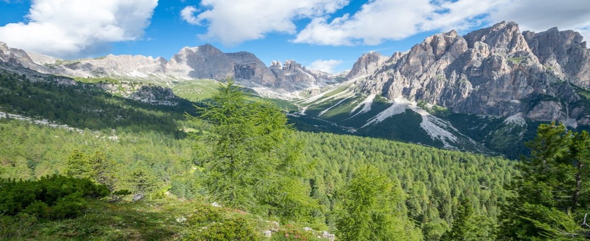 Dolomiti