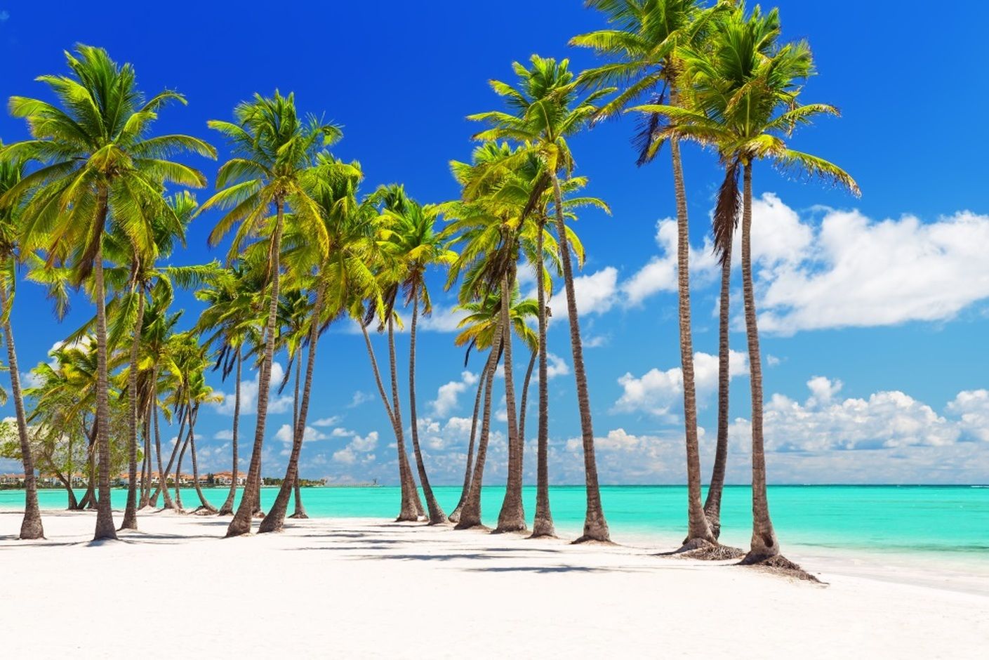 Punta Cana