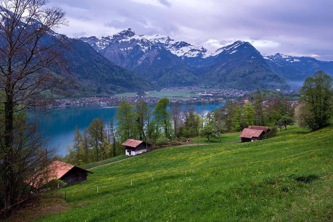 Brienzské jezero